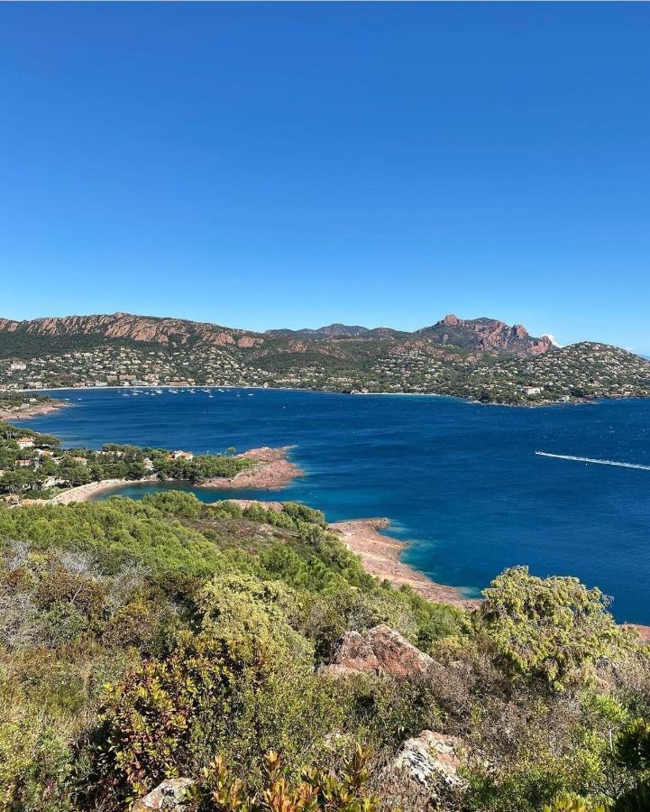 Cannes - Appartement Cosy Et Lumineux Eksteriør billede